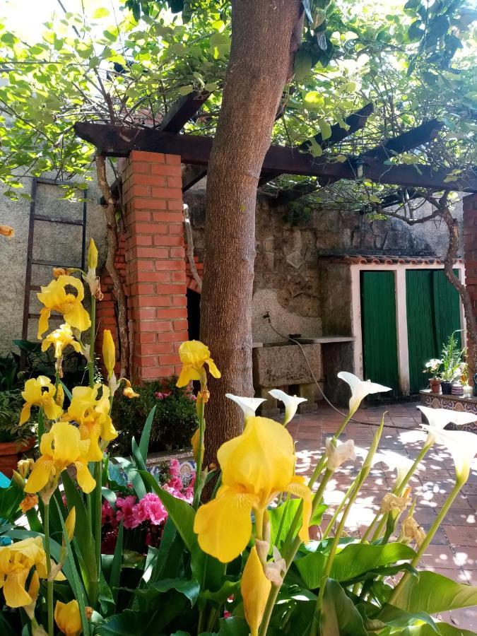 维塞乌Nossa Casa Na Aldeia公寓 外观 照片