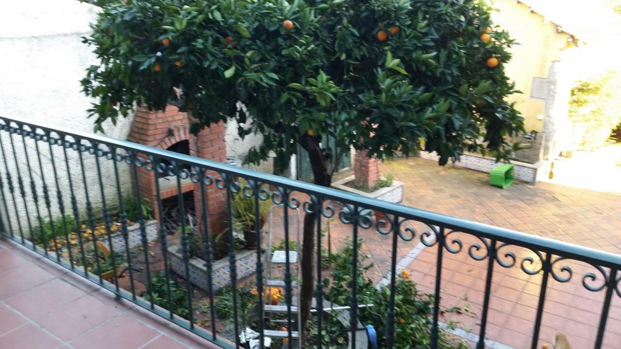 维塞乌Nossa Casa Na Aldeia公寓 外观 照片